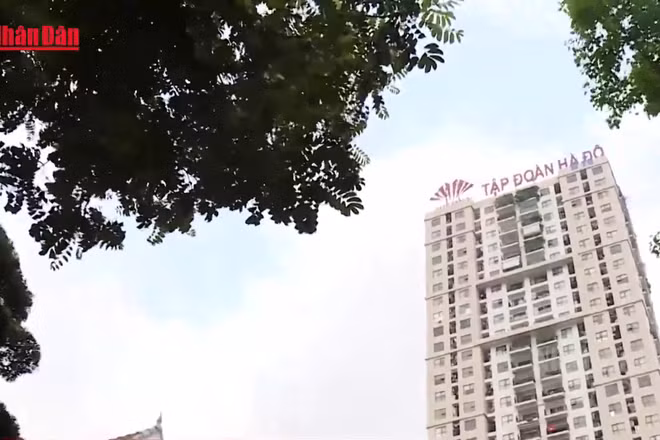 [Video] Giá nhà vượt xa thu nhập, nhiều người phải tích lũy 30 năm mới mua được nhà
