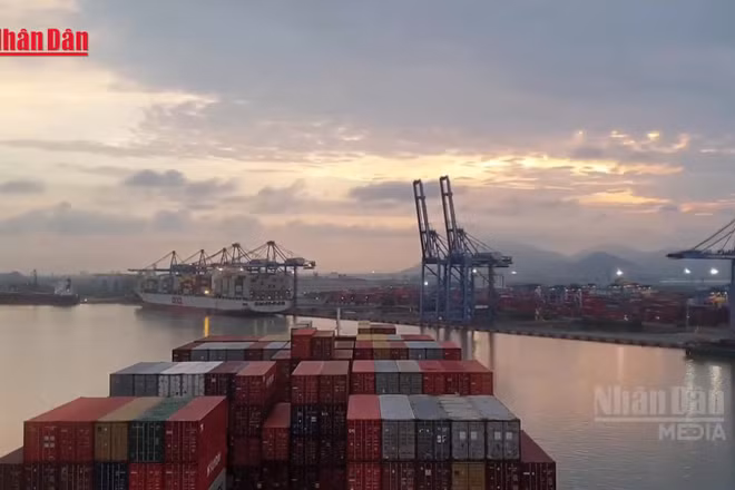 [Video] Giảm tối thiểu 10% giá dịch vụ hoa tiêu hàng hải cho tàu biển Việt Nam