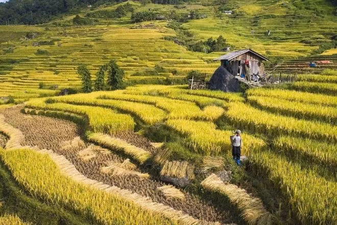 Cân nhắc các quy định thu hồi đất cần sát thực tế và phù hợp bối cảnh phát triển mới. (Ảnh: PV)