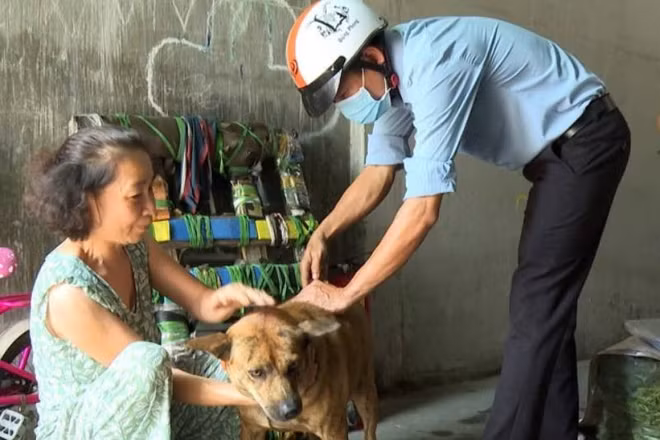 Lực lượng thú y cơ sở tiêm ngừa cho chó đề phòng bệnh dại từ chó lây truyền sang người.