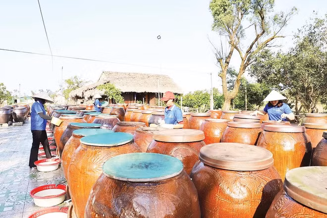 Thành viên hợp tác xã chế biến thủy hải sản ở Hà Tĩnh chăm sóc các bể ủ nước mắm.