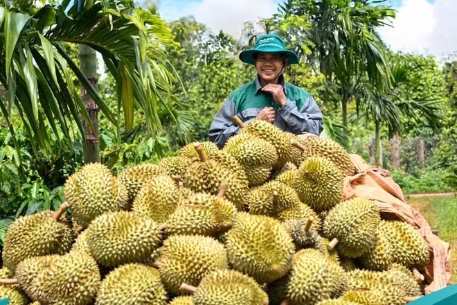 Bức ảnh tham gia Triển lãm ảnh nghệ thuật “Nữ hoàng của đại ngàn xanh”. (Ảnh: Đạm Phú Mỹ) 