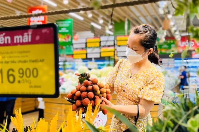 Khách hàng chọn mua đặc sản Hải Phòng là trái vải Thanh Hà. Năm nay Saigon Co.op đưa 300 tấn vải vào hệ thống siêu thị trên toàn quốc.