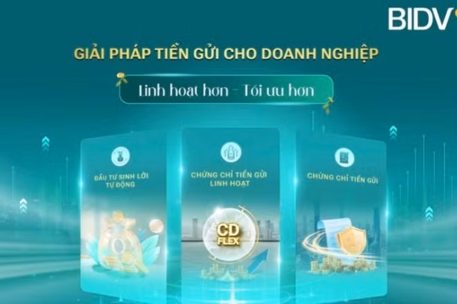 Việc mở rộng cấu trúc kỳ hạn và phương thức nhận lãi giúp các doanh nghiệp chủ động hơn trong hoạch định dòng tiền trung-dài hạn.