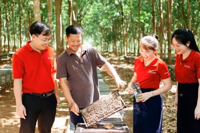 Mô hình cho vay qua Tổ đang được triển khai tại 105 chi nhánh Agribank tại 34 tỉnh, thành phố với gần 1 triệu thành viên tham gia, dẫn vốn trực tiếp đến từng hộ gia đình.