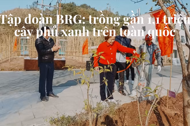 Tập đoàn BRG: trồng gần 1,1 triệu cây phủ xanh trên toàn quốc