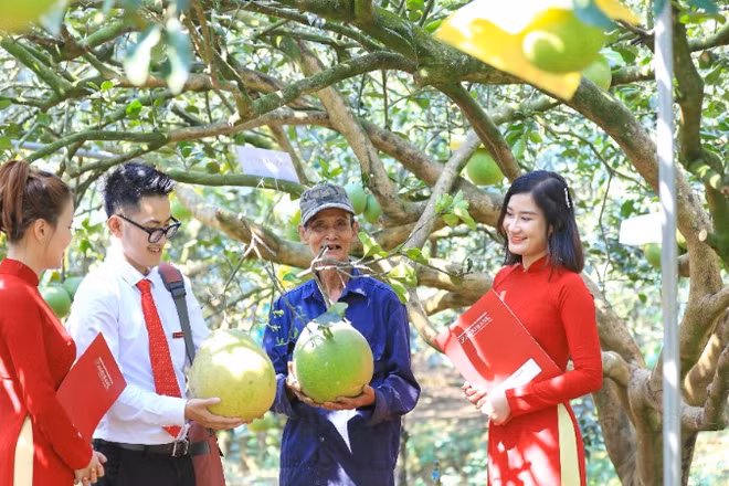 Trong nhiều năm qua, Agribank luôn tích cực triển khai các chương trình tín dụng ưu đãi nhằm tạo nguồn vốn cho phát triển nông nghiệp sạch, năng lượng tái tạo và tiêu dùng bền vững.
