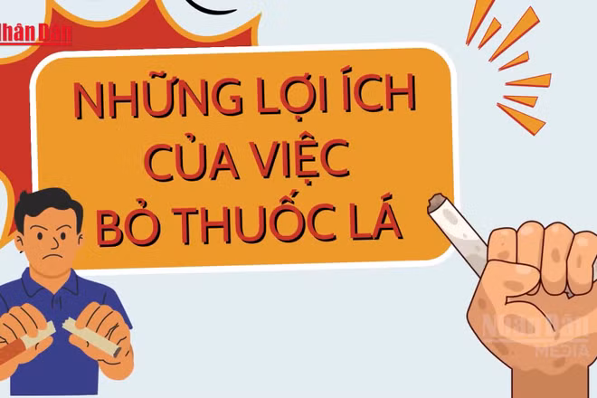 [Video] Hưởng ứng Ngày Thế giới không thuốc lá 31/5, Tuần lễ Quốc gia không thuốc lá 25-31/5/2026 - Những lợi ích của việc bỏ thuốc lá