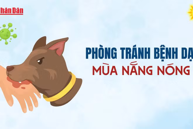 [Video] Phòng tránh bệnh dại mùa nắng nóng