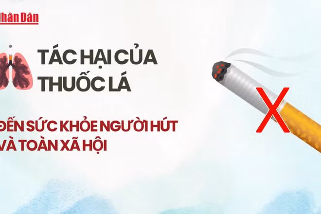[Video] Tác hại của thuốc lá đến sức khỏe người hút và toàn xã hội
