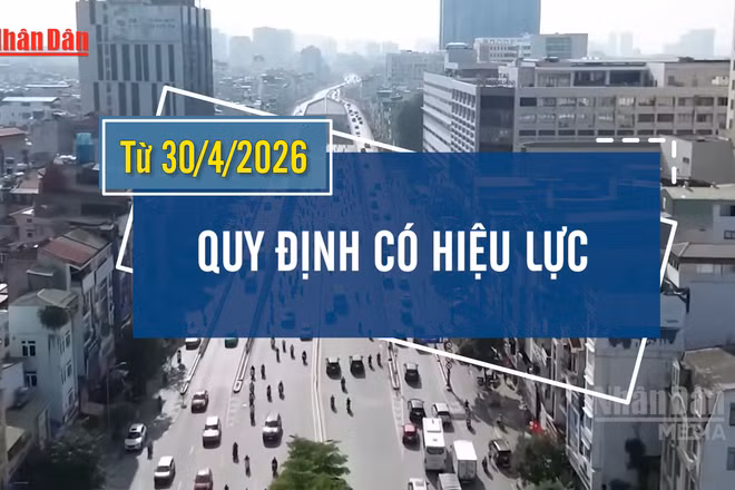 [Video] Xe bán tải, xe hợp đồng dưới 29 chỗ ngồi được lưu thông không hạn chế trong nội đô Hà Nội 