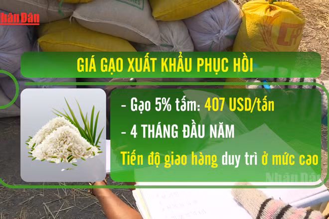 [Video] Giá gạo xuất khẩu phục hồi, rau quả hướng tới mục tiêu 10 tỷ USD