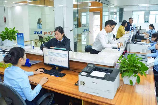 Giao dịch khách hàng tại Co-opBank Ninh Bình. (Ảnh: HỒNG ANH)