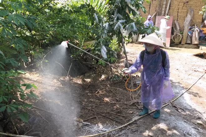 Tuyên Quang chỉ đạo các địa phương tăng cường phòng, chống bệnh dịch tả lợn châu Phi.