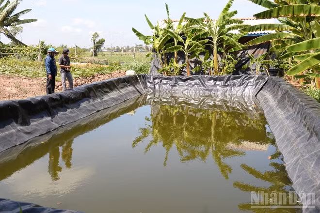 Người dân xã Tân Phú Đông chủ động tích trữ nước phục vụ sản xuất.