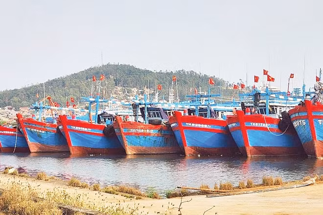 Cảng cá Lạch Bạng (Thanh Hóa) được lựa chọn là một trong ba cảng cá trên cả nước thí điểm mô hình cảng cá kiểu mẫu. Ảnh: Thu Thủy