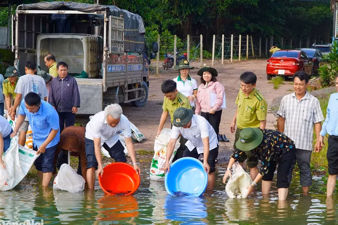 Các cán bộ và nhân viên của Khu Bảo tồn thiên nhiên - văn hóa Đồng Nai thực hiện chương trình thả cá. 