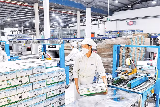 Dây chuyền sản xuất tại Nhà máy chế biến sữa Mộc Châu. Ảnh: La Sơn