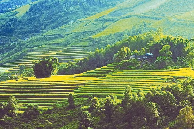 Khu bảo tồn thiên nhiên Pù Luông được bảo vệ nghiêm ngặt, phục vụ phát triển du lịch.