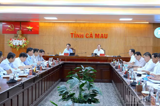 Cuộc họp của Ban Chỉ đạo 600 dưới sự chủ trì của người đứng đầu Đảng bộ và chính quyền tỉnh Cà Mau. (Ảnh: HỮU TÙNG)