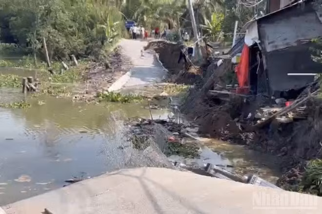 Vụ sạt lở đã gây thiệt hại về hạ tầng và đe dọa trực tiếp đến đời sống, sản xuất của hàng nghìn hộ dân trong khu vực.
