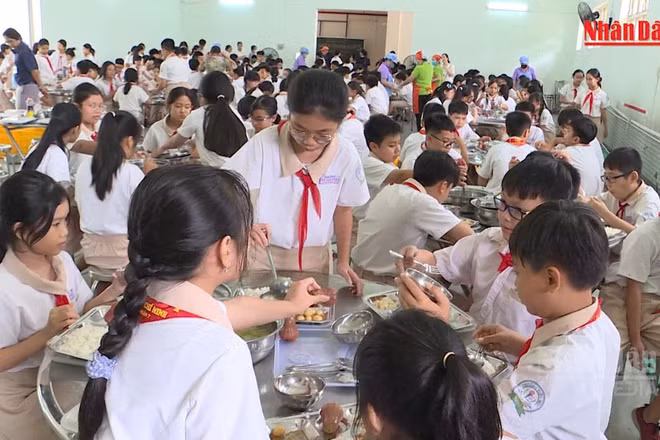 [Video] Đồng loạt kiểm tra bếp ăn trường học tại Thành phố Hồ Chí Minh trong tháng 10 và 11 