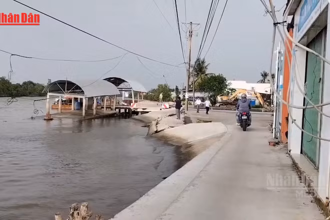 [Video] Cà Mau: Sạt lở, sụt lún đất diễn biến phức tạp, nhiều tuyến giao thông bị ảnh hưởng