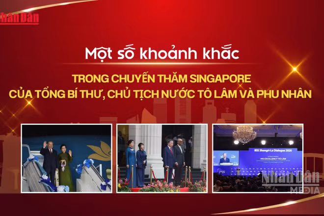 [Video] Một số khoảnh khắc trong chuyến thăm Singapore của Tổng Bí thư, Chủ tịch nước Tô Lâm và Phu nhân