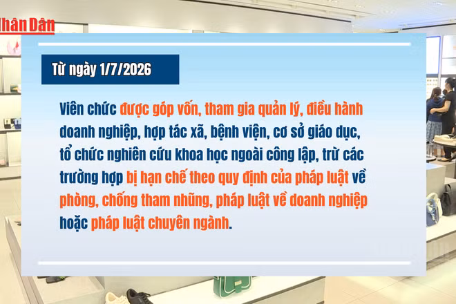 [Video] Từ 1/7/2026, viên chức được góp vốn, tham gia quản lý doanh nghiệp