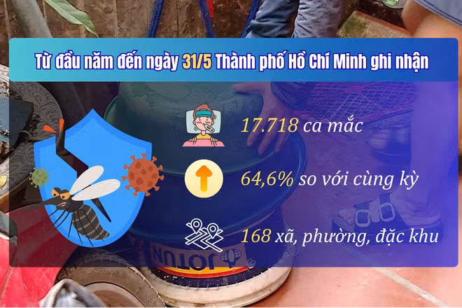 [Video] TP Hồ Chí Minh cảnh giác trước nguy cơ gia tăng sốt xuất huyết Dengue