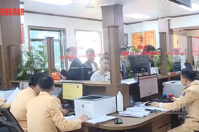 [Video] Đề xuất mở rộng trường hợp nộp trực tiếp hồ sơ đổi giấy phép lái xe