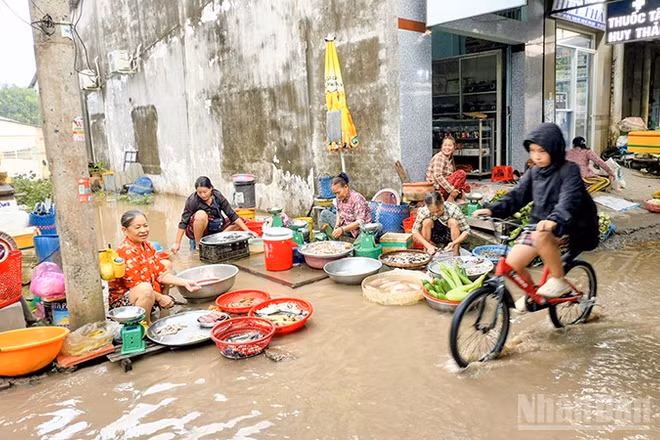 Nơi buôn bán cá của tiểu thương lênh láng nước tại chợ Thanh Đức, phường Thanh Đức, tỉnh Vĩnh Long. (Ảnh: BÁ DŨNG)
