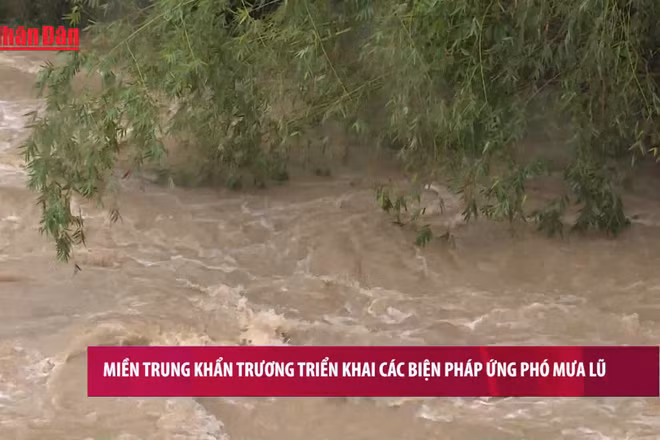[Video] Miền Trung khẩn trương triển khai các biện pháp ứng phó mưa lũ
