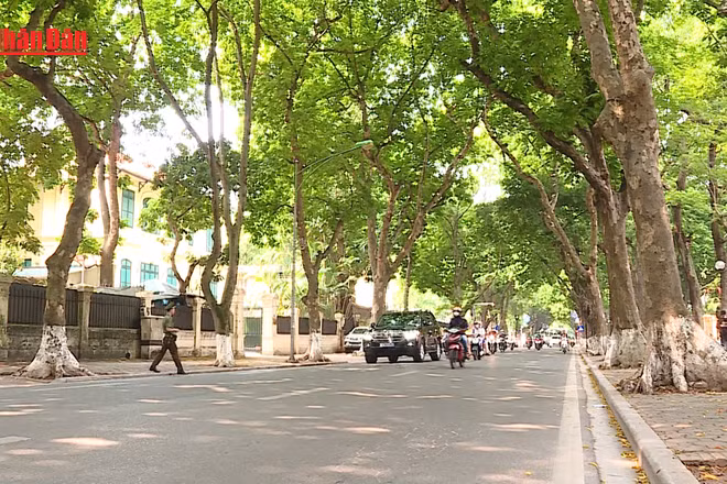 [Video] Mở rộng diện khấu trừ lương để cưỡng chế thi hành xử phạt hành chính từ năm 2026