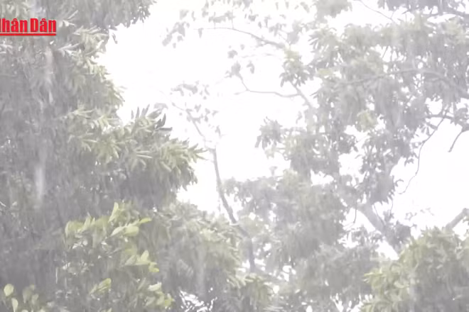 [Video] Cảnh báo lốc, sét và gió giật mạnh tại khu vực cao nguyên và Nam Bộ