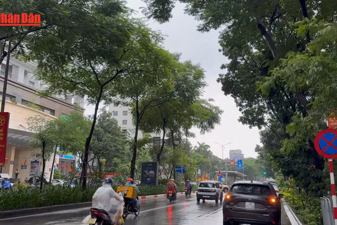 [Video] Mưa rét nhiều nơi trên cả nước vào đúng dịp Tết Dương lịch 2026