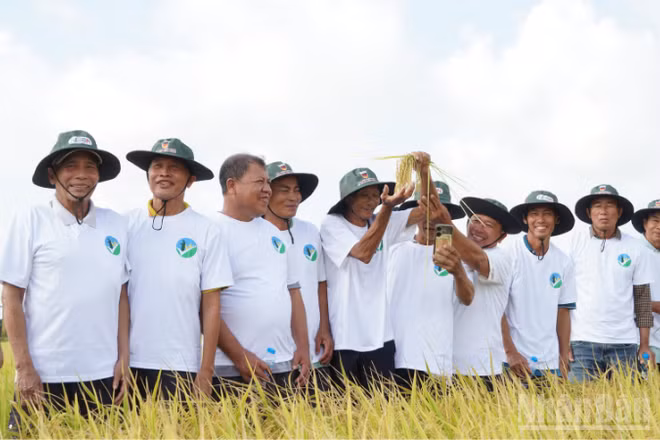 Đại biểu và nông dân tham quan mô hình sản xuất lúa tại Hợp tác xã Kiến Thành, xã Vị Thanh 1, thành phố Cần Thơ.