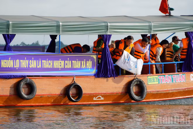 Thả giống tái tạo nguồn lợi thủy sản là hoạt động thường niên của thành phố Cần Thơ.
