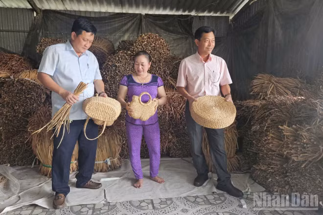 Ông Trương Trần Trọng Hiếu (áo xanh), Chủ tịch Ủy ban nhân dân xã Vị Thủy thăm và làm việc với Hợp tác xã Thanh Tú.