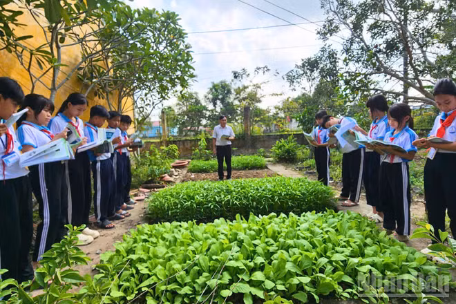 Không chỉ dừng lại ở việc tiếp thu kiến thức, nhiều học sinh đã biết vận dụng những gì học được từ sách vào thực tế cuộc sống.