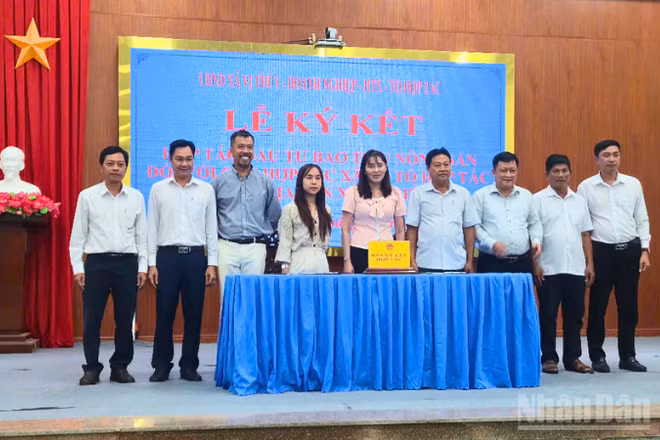 Xã Vị Thủy tổ chức lễ ký kết hợp tác đầu tư bao tiêu lúa giữa doanh nghiệp với các hợp tác xã/tổ hợp tác trên địa bàn. 