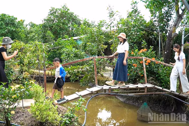 Những trải nghiệm gần gũi với thiên nhiên và đời sống nông thôn đã mang đến cho nhiều gia đình những phút giây thư giãn đúng nghĩa. 