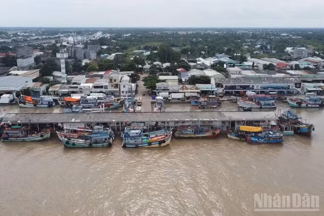 Cảng cá Trần Đề, xã Trần Đề, thành phố Cần Thơ nhìn từ trên cao.