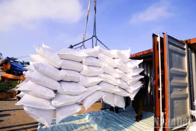 Chi phí logistics tại Đồng bằng sông Cửu Long đang bào mòn năng lực cạnh tranh của doanh nghiệp.