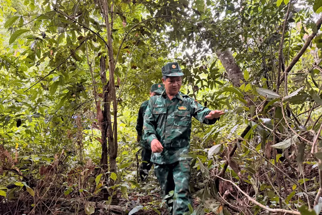 “Rừng che bộ đội, rừng vây quân thù”...