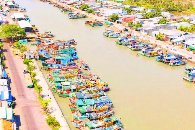 Cảng cá Định An, xã Đại An, tỉnh Vĩnh Long án ngữ vị trí đắc địa khu vực ven biển Tây Nam Bộ.