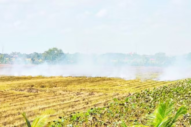 Đốt đồng tiềm ẩn nhiều nguy cơ và lãng phí nguồn rơm rạ.
