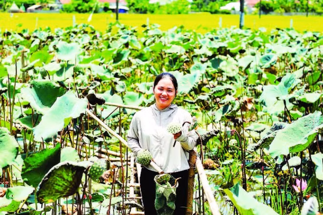 Chị Đỗ Thị Mỹ Hạnh bên ao sen của mình.