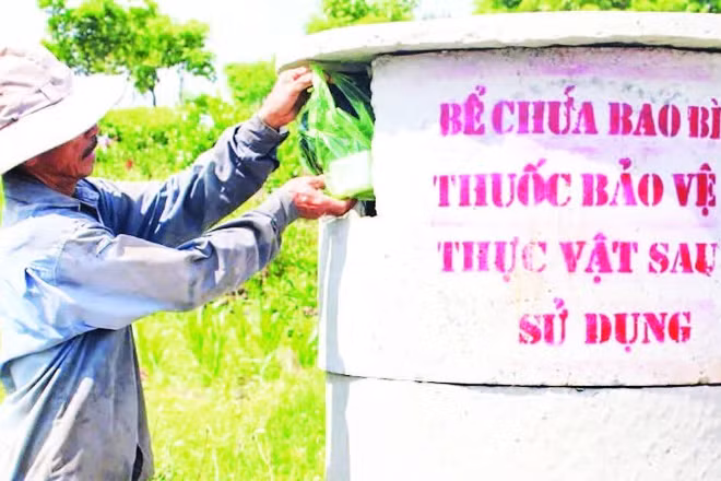 Người dân thu gom vỏ thuốc bảo vệ thực vật sau khi sử dụng vào bể chứa.