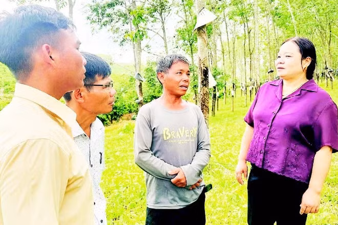 Lãnh đạo Ủy ban nhân dân xã Đăk Tô cùng cán bộ xã thăm vườn rừng gia đình anh A Nhun.